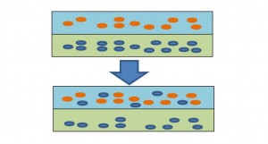 ブリーディング